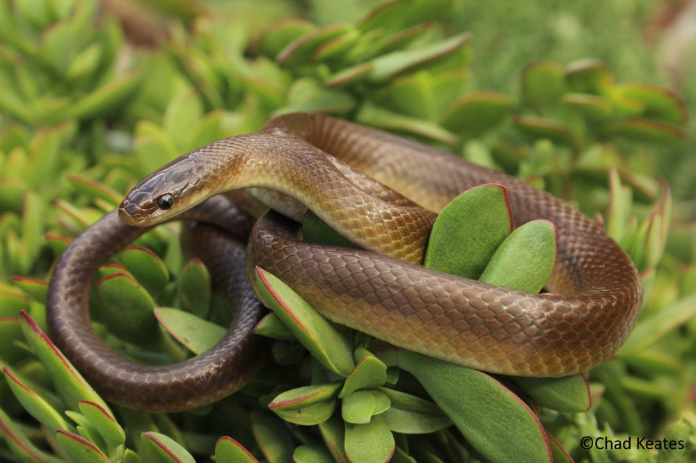 picture-for-facebook