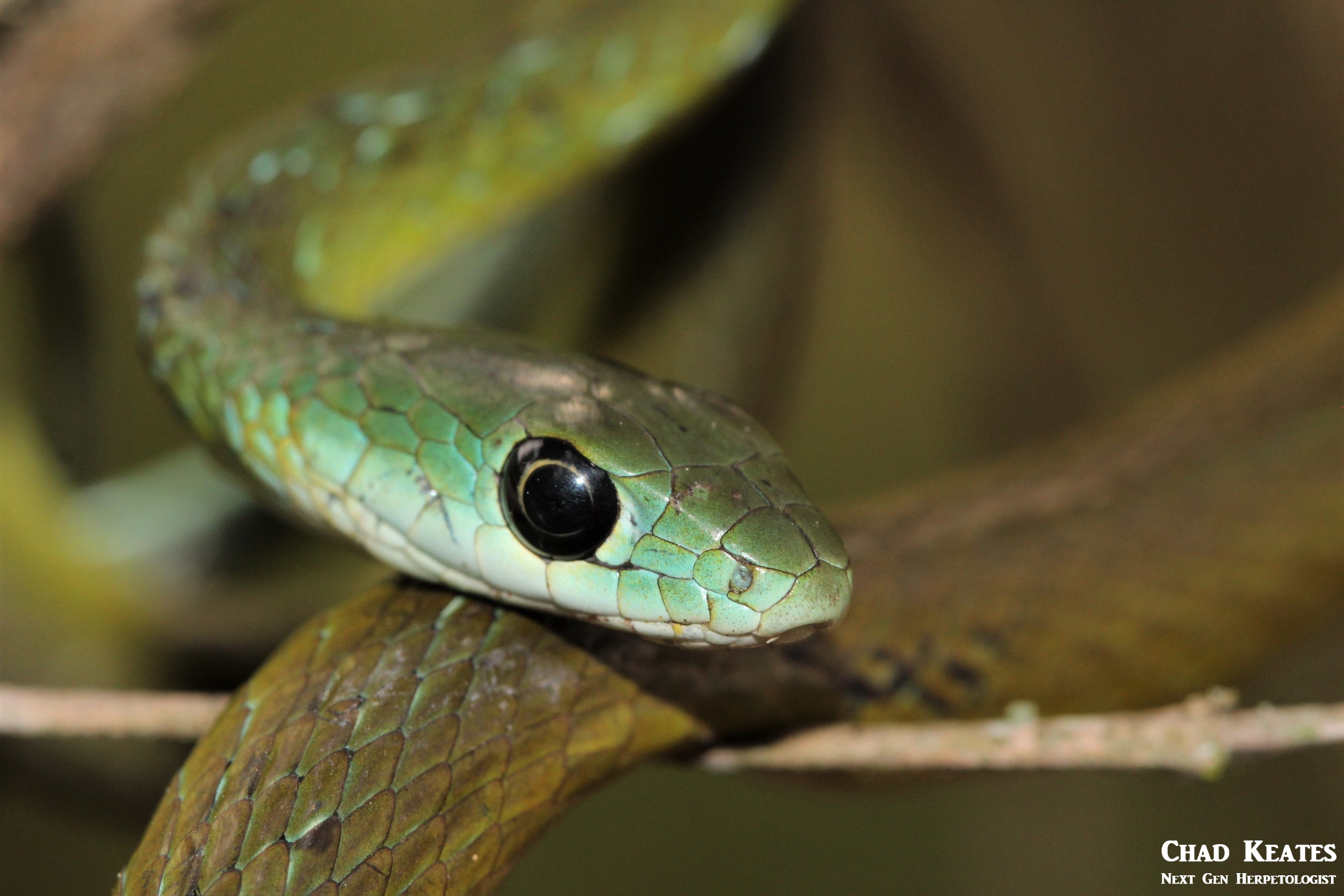 wng 12 September 2017 half body shot