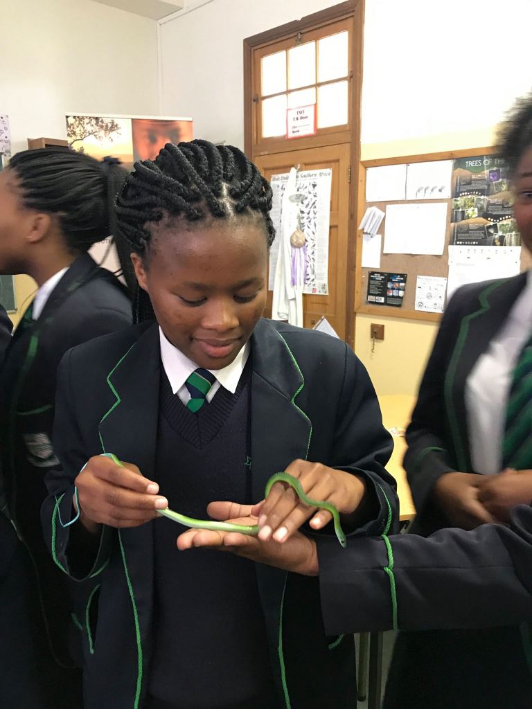 21731564_2014481522117934_2099335832057908449_o