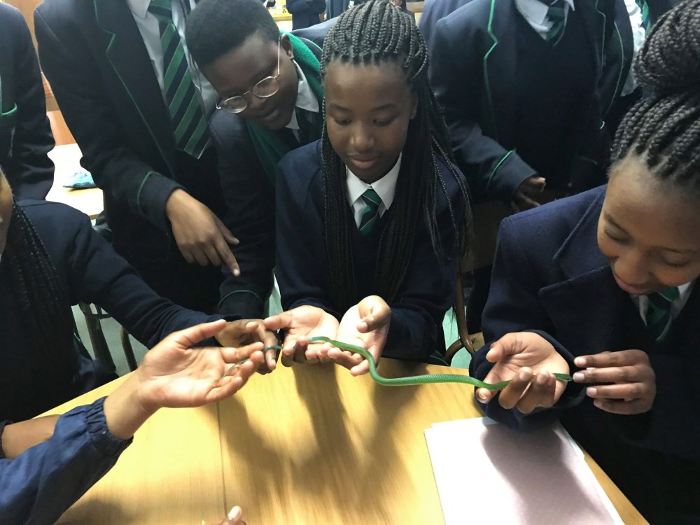 21741160_2014481882117898_4760050690207372649_o