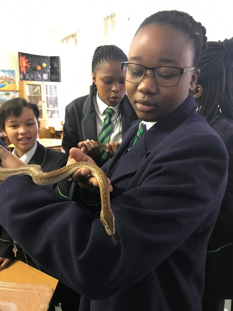 21762472_2014481835451236_5224399176957972925_o