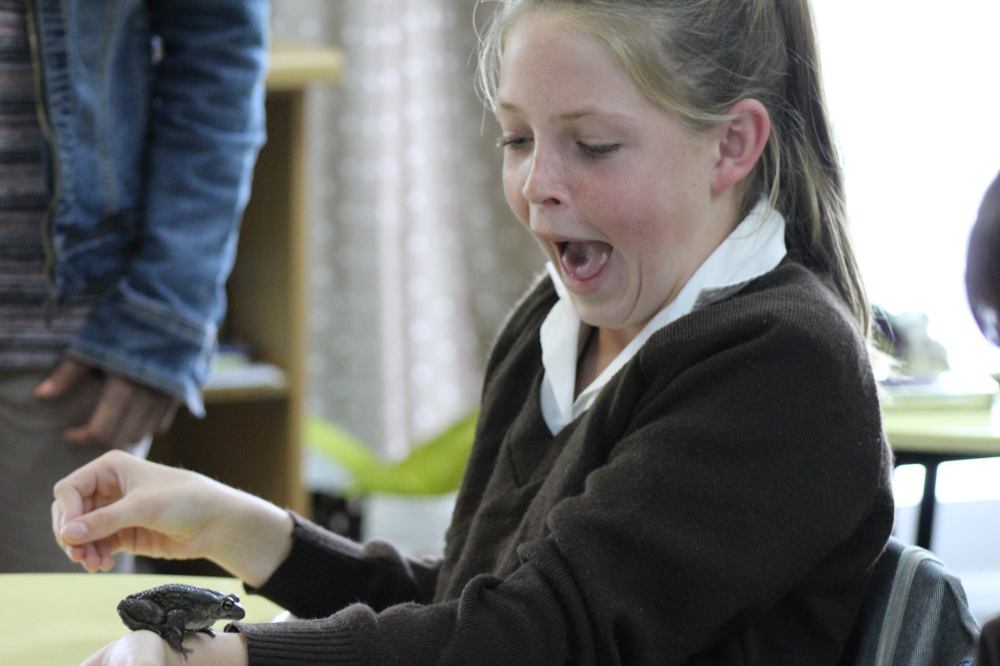 22382048_1857285411249672_1147748905533572541_o