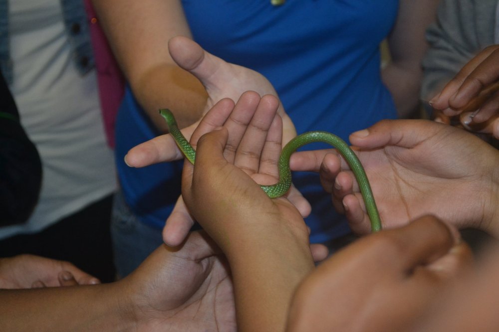 29662682_10157300624994867_2637486026235105335_o