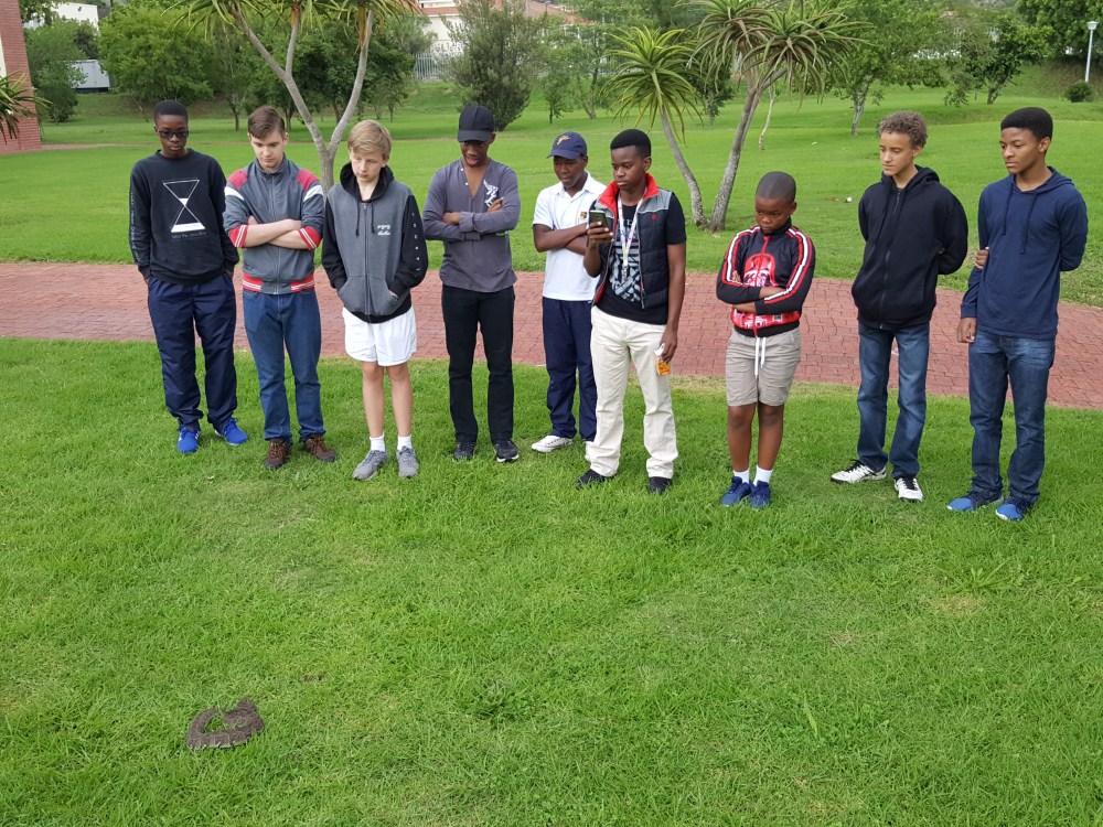 LRM_EXPORT_20180318_095829