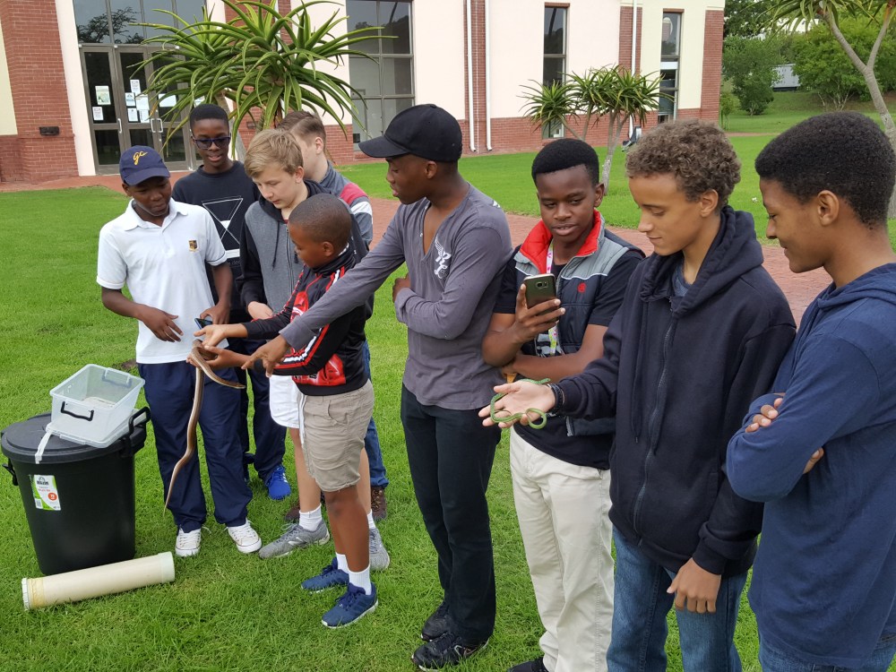 LRM_EXPORT_20180318_095837