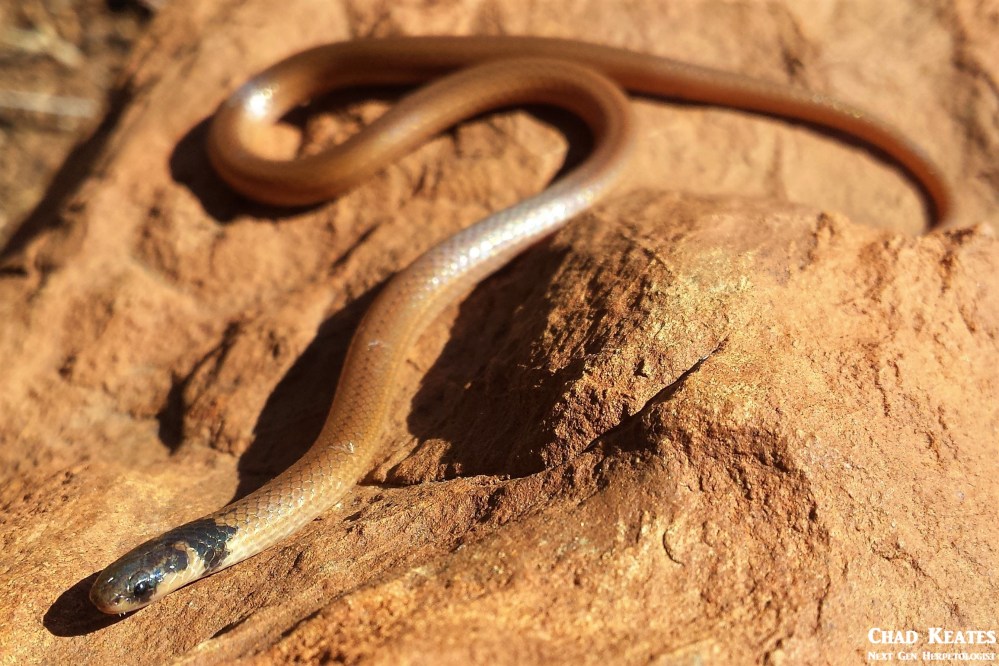 IMG_20160713_202728 (1).jpg