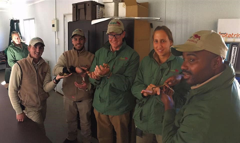 36669886_1919275218122875_4259044962630369280_n